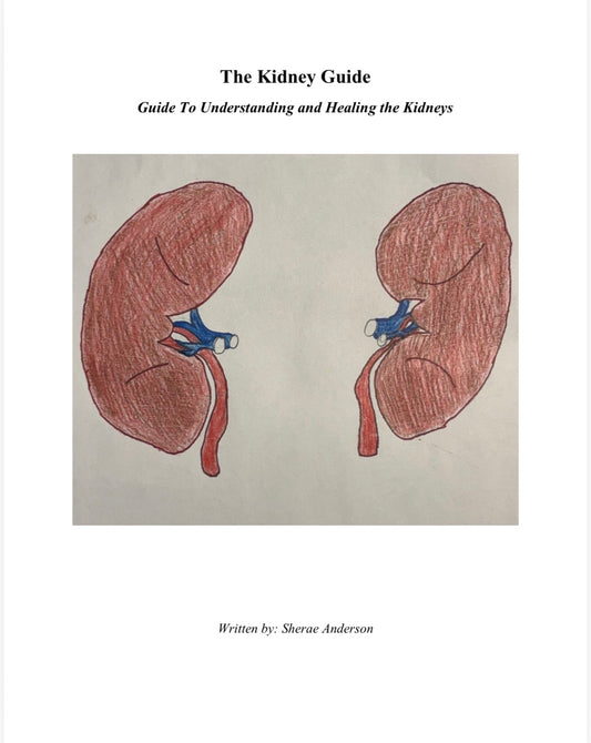 The Kidney Guide (E-Book)